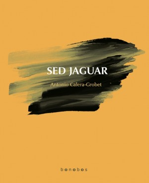 Sed jaguar